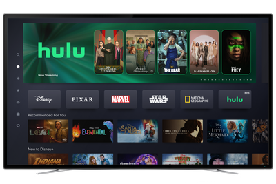 Hulu just landed on Disney Plus – here’s what it looks like