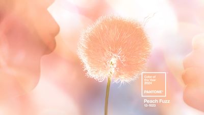 Pantone's Color of the Year 2024 has been revealed – the 'subtly sensual' shade is a celebration of 'tactility and cocooned warmth'