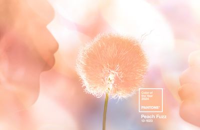 Pantone's color of the year is 'Peach Fuzz'