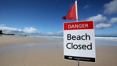 Man seriously injured in shark attack