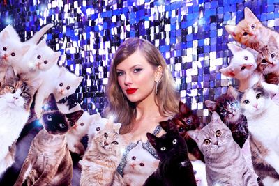 Taylor Swift nukes the "cat lady" insult