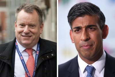 Tory peer suggests party should ditch Rishi Sunak to win next election