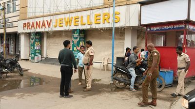 T.N. Police file affidavit in Madurai court seeking custody of Pranav Jewellers owner