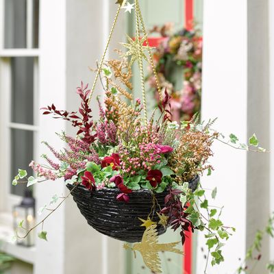 How to make easy Christmas hanging baskets to impress your guests and brighten up your garden