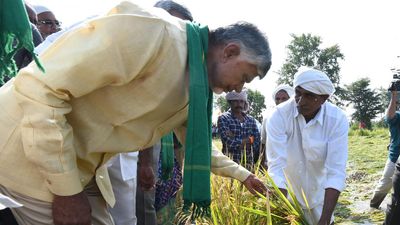 Cyclone Michaung: YSRCP government failed to prevent large-scale destruction of crops in Andhra Pradesh, alleges Chandrababu Naidu