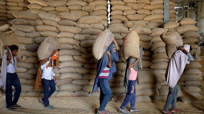 Centre revises wheat stock limits to rein in prices, hoarding