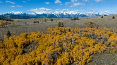 Wyoming officials table controversial move to auction off 640 acres of Grand Teton National Park