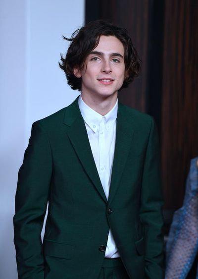 'Lies of P' Developer Want Timothée Chalamet For the Movie Adaptation