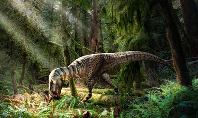 Prehistoric fast food: fossil reveals final meal of young tyrannosaur