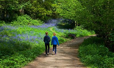 Tories shelve pledge for everyone in England to live 15 minutes from a green space