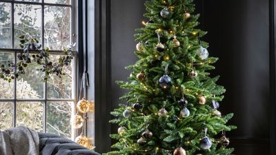 How to prevent cats from destroying your Christmas tree