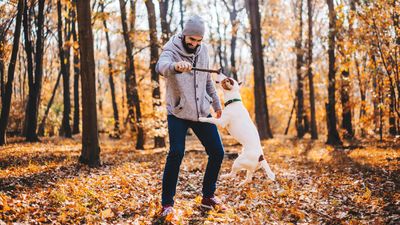 Trainer reveals which toy is a must-buy when you have a high-energy dog