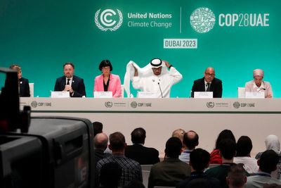 Organizers of COP28 want an inclusive summit. But just how diverse is the negotiating table?
