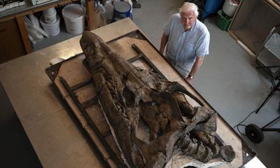 David Attenborough film tells of risky mission to excavate ‘T rex of the seas’ from Dorset cliff