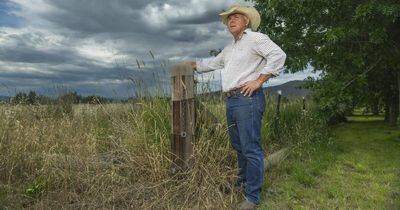 Majura Valley farmers feel 'ghosted' by government as lease limbo lingers