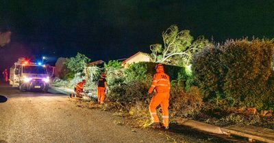 Storm clean-up continues as community support hub opens for those still without power