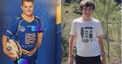 Concerns for welfare of missing teenage brothers