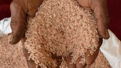 For the first time, price of Rajamudi rice variety has breached ₹100 mark owing to depleted supply