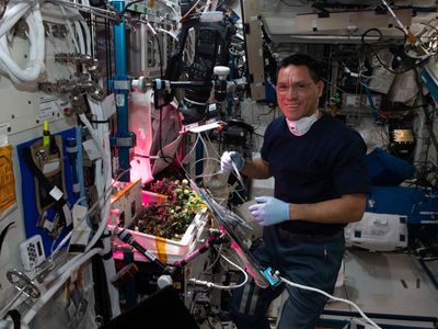 Houston, we have a tomato: ISS astronauts locate missing fruit (or vegetable)