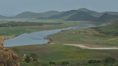 Natural vegetation on nearly 12,850 sq. km in the Cauvery basin has been lost, says a research paper