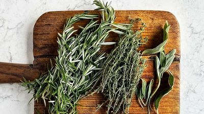 How to harvest winter herbs for use in your Christmas cooking – tips for thyme, sage, and more