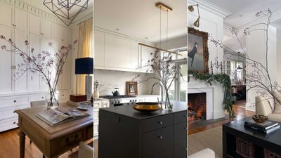 Designers love styling these branches during the winter – they're super low-maintenance and so chic
