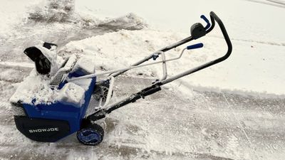 Snow Joe 24V-X2-SB22 48-Volt MAX IONMAX Cordless Single-Stage Snow Blower Kit review