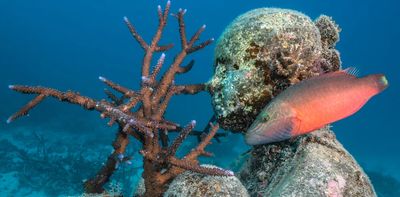 How an underwater sculpture trail plays a role in the health – and beauty – of the Great Barrier Reef