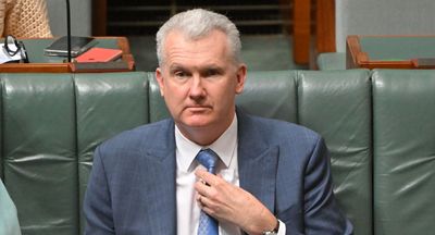 Tony Burke was Labor’s best in 2023. Albo needs to emulate him in 2024