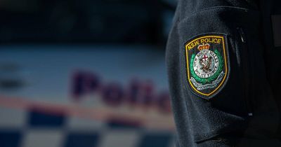 Charges laid after shot fired at dog in Central Coast robbery