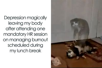 50 Hilarious Work Posts And Memes To Look At While You’re Pretending To Be Productive