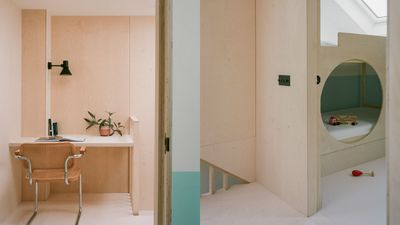 Plywood House celebrates the humble material while updating a family home in Lewisham