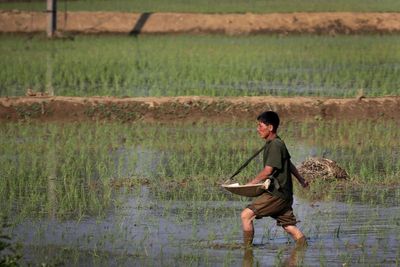 Asia lags behind pre-pandemic levels of food security, UN food agency says