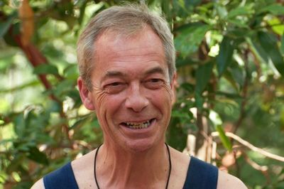 ‘Never say never,’ Nigel Farage hints at return to frontline politics after jungle exit