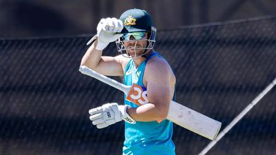 Australian coach Andrew McDonald keeps options open for David Warner's successor