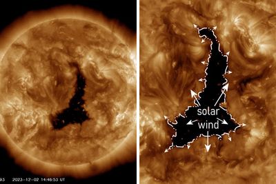 People Left Terrified After Massive Hole Bigger Than 60 Earths Opens Up In The Sun