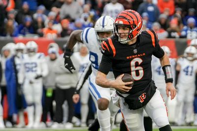 Where Bengals stand in playoff standings after win over Colts