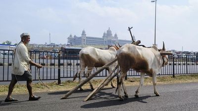 Over 25,000 farmers expected to take part in BJP rally in Belagavi tomorrow