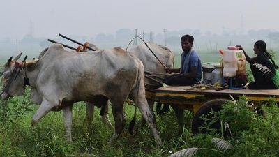 CM for crediting of Rythu Bandhu amounts into farmers’ accounts