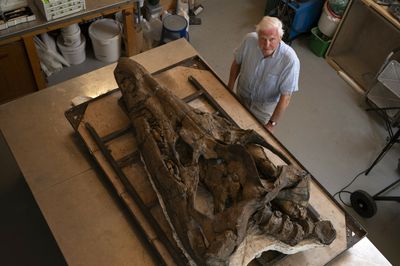 Scientists have found the mostly intact skull of a giant, deadly sea reptile