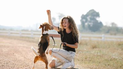 Pet Parents Spending Nearly $5,000 A Year On Furry Friends, Survey Finds