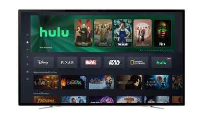 Combined Disney Plus and Hulu App Has Streaming's Most Popular Catalog, Study Finds