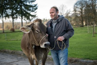 Swiss Village Set To Vote To Keep Cowbells Ringing
