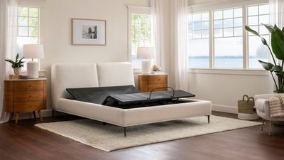 What is a zero gravity bed and how do they ease sleep apnea and back pain?