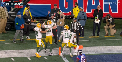 A knocked-down ref slow-rolled a Packers TD call and fans were all about it