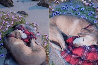 To Cope With His Grief, Man Creates A World Where He Can Keep Visiting His Pooch Who Passed Away