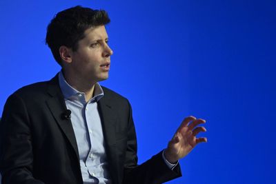 Sam Altman doesn't mind being the fall guy for your AI fears