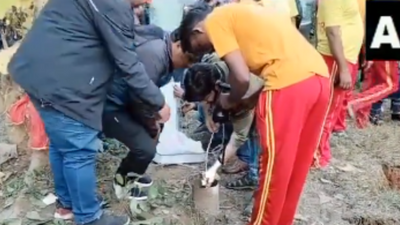 Infant stuck in bore well in Odisha's Sambalpur; rescue operations on