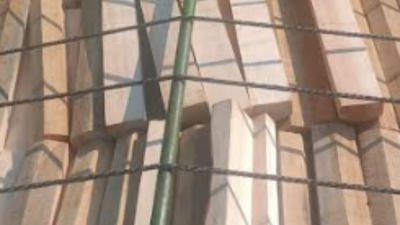 Kathua Police seizes Kashmir 'willow clefts' worth Rs 50 Lakh, one held