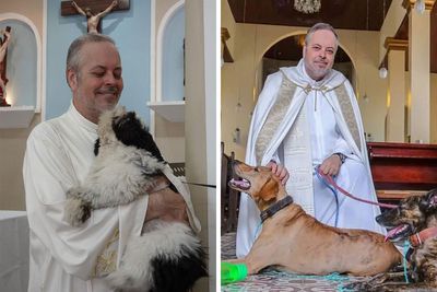 Loving Priest Turns Church Services Into Adoption Fairs For Stray Dogs (21 New Pics)